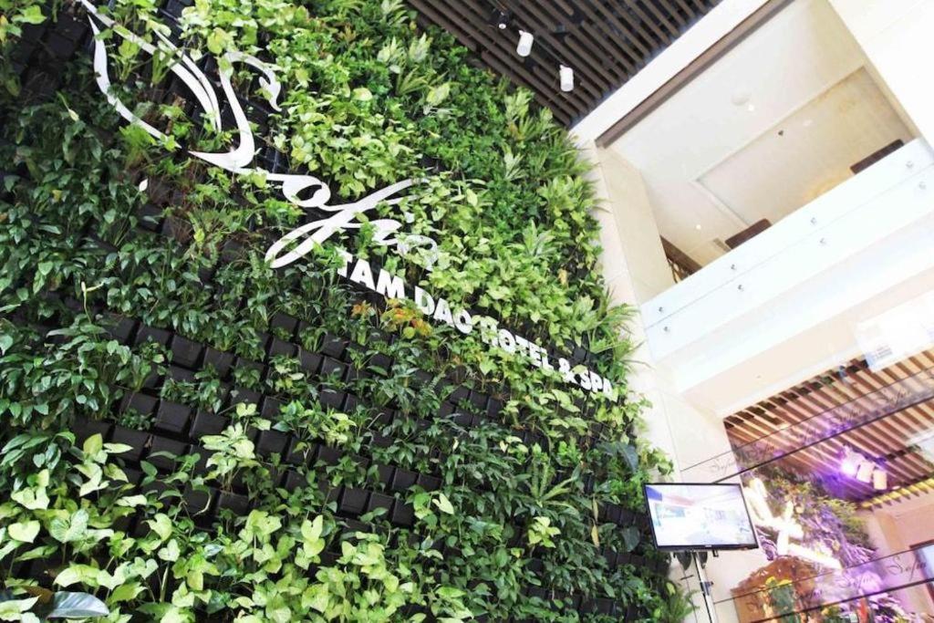 Thang Loi Tam Dao Hotel Exteriér fotografie